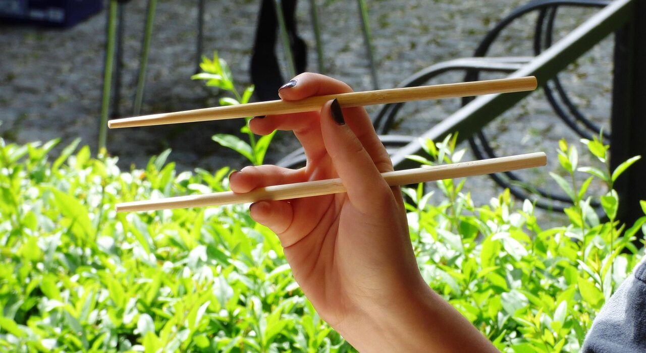 chopsticks, food, sushi, sensei, japan, wood, bamboo, with chopsticks, east, asia, chopsticks, chopsticks, chopsticks, chopsticks, chopsticks